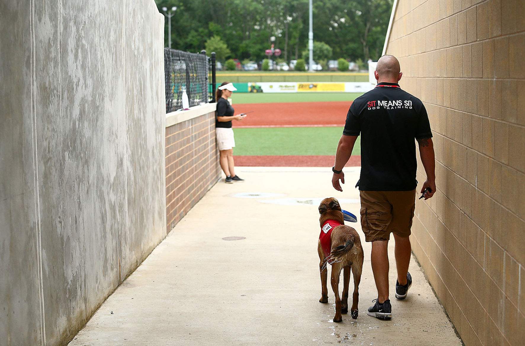 Navi the bat dog 14.jpg